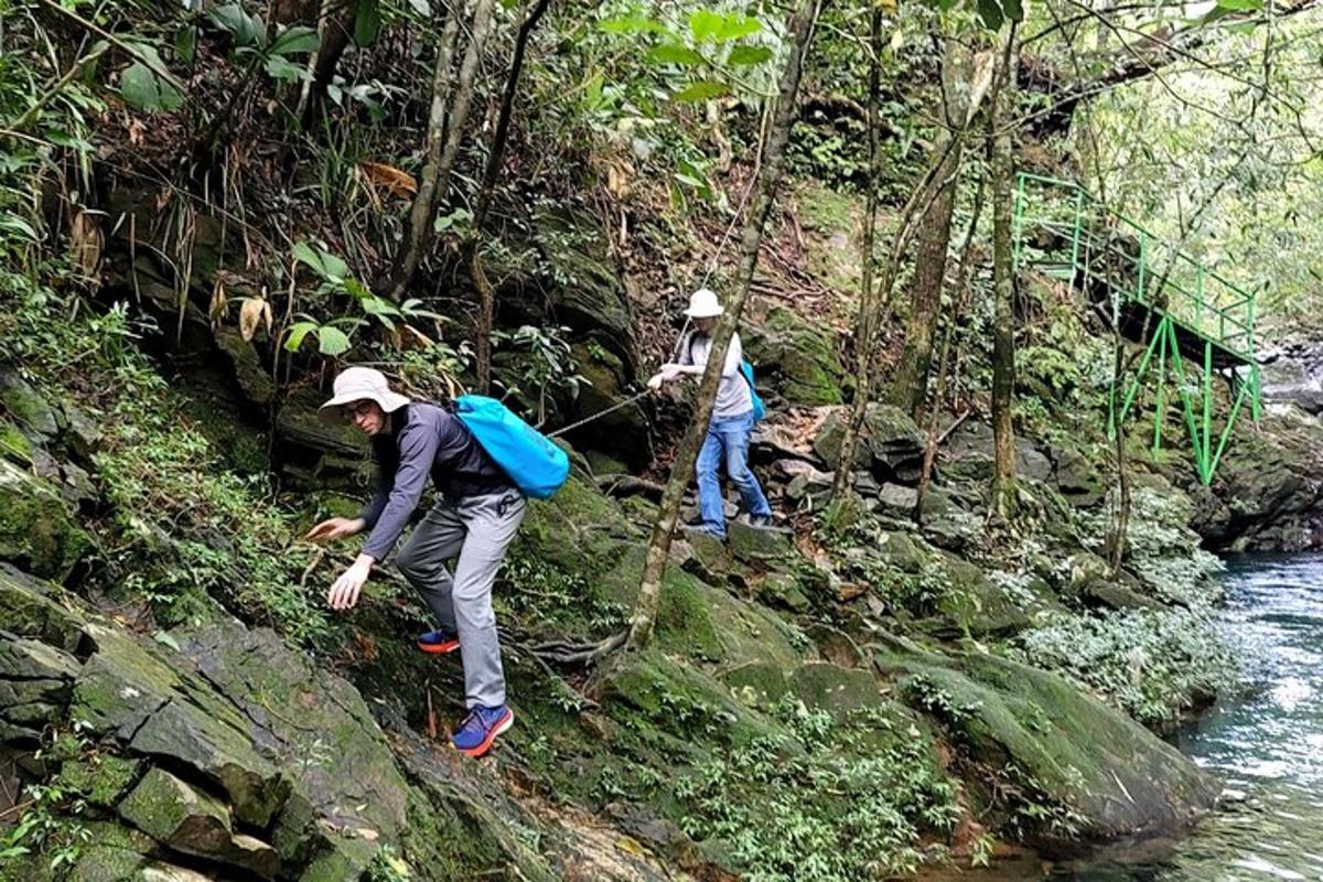 due persone che camminano su un sentiero nella foresta