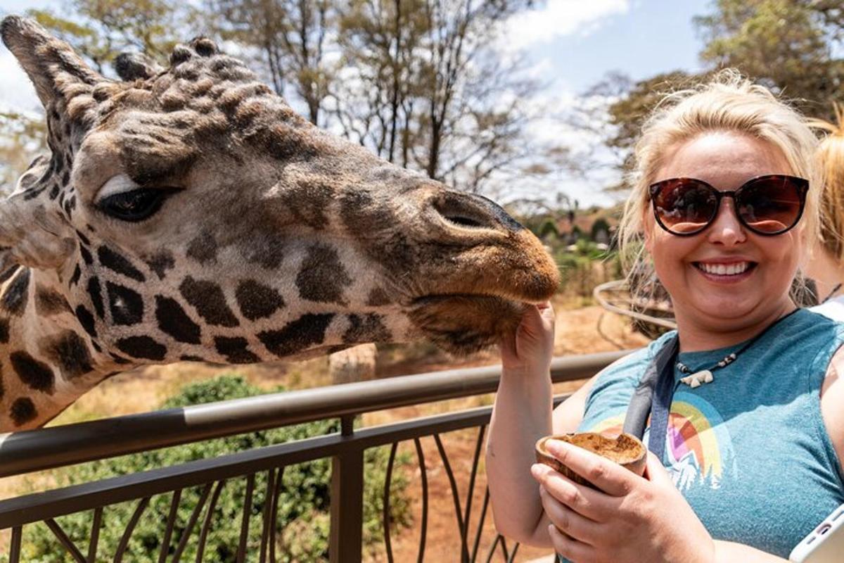 una dona alimentant una girafa en un zoo
