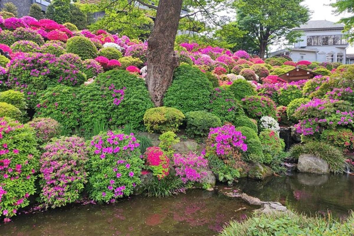 Un jardín con flores rosas y moradas y un estanque.