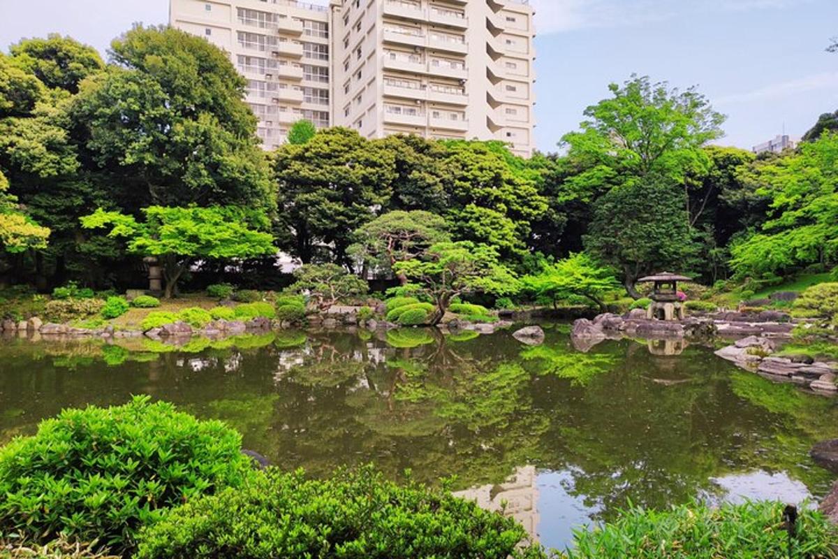 um jardim com um lago em frente a um prédio