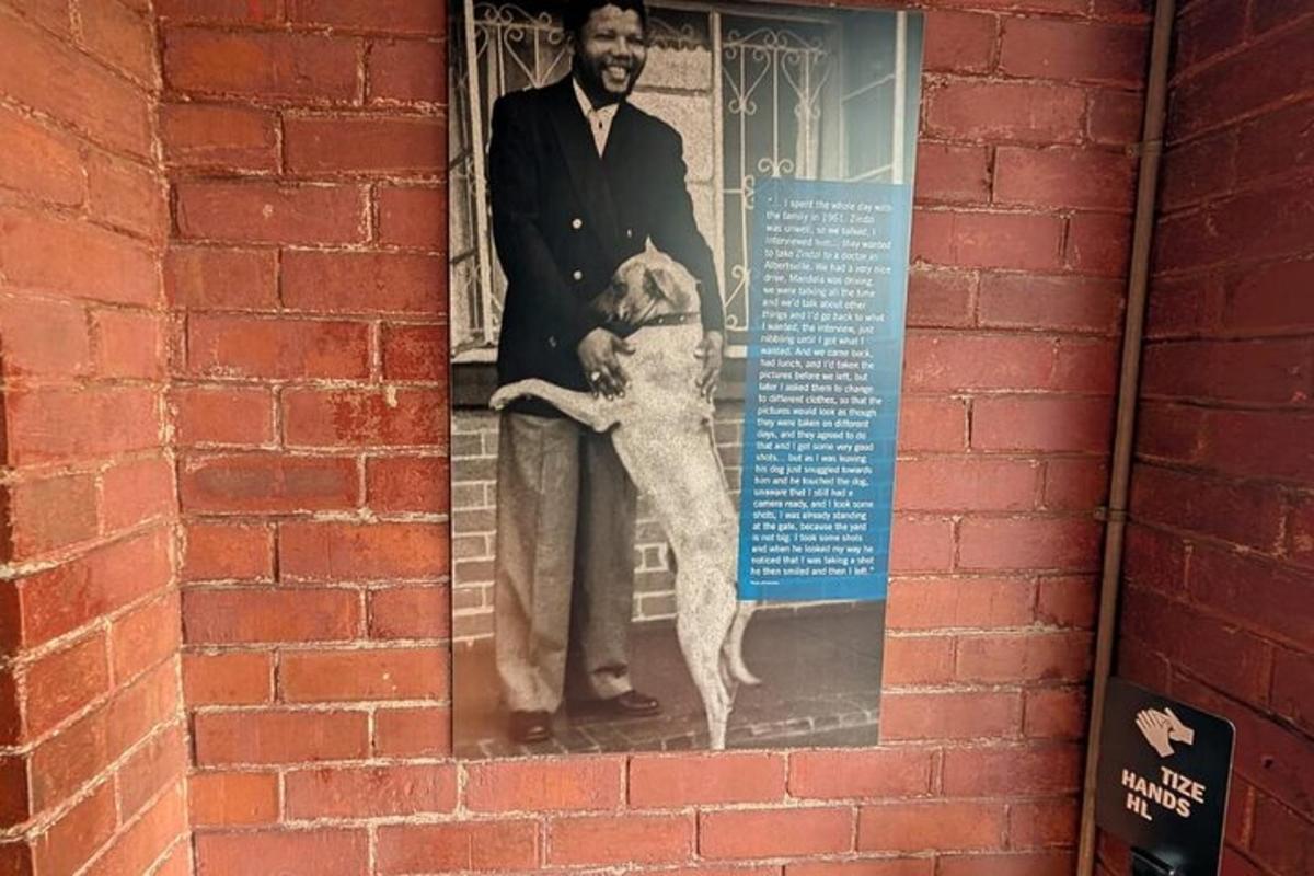 una foto di un uomo e un cane in una finestra