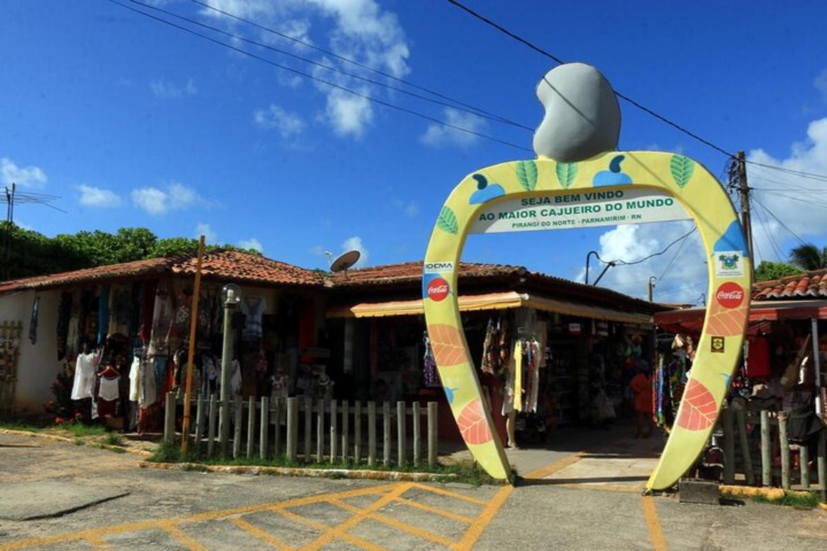 Fotografia da atração 4