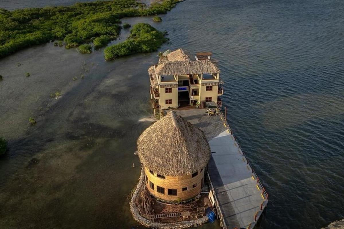 an aerial view of a house with a thatch roof