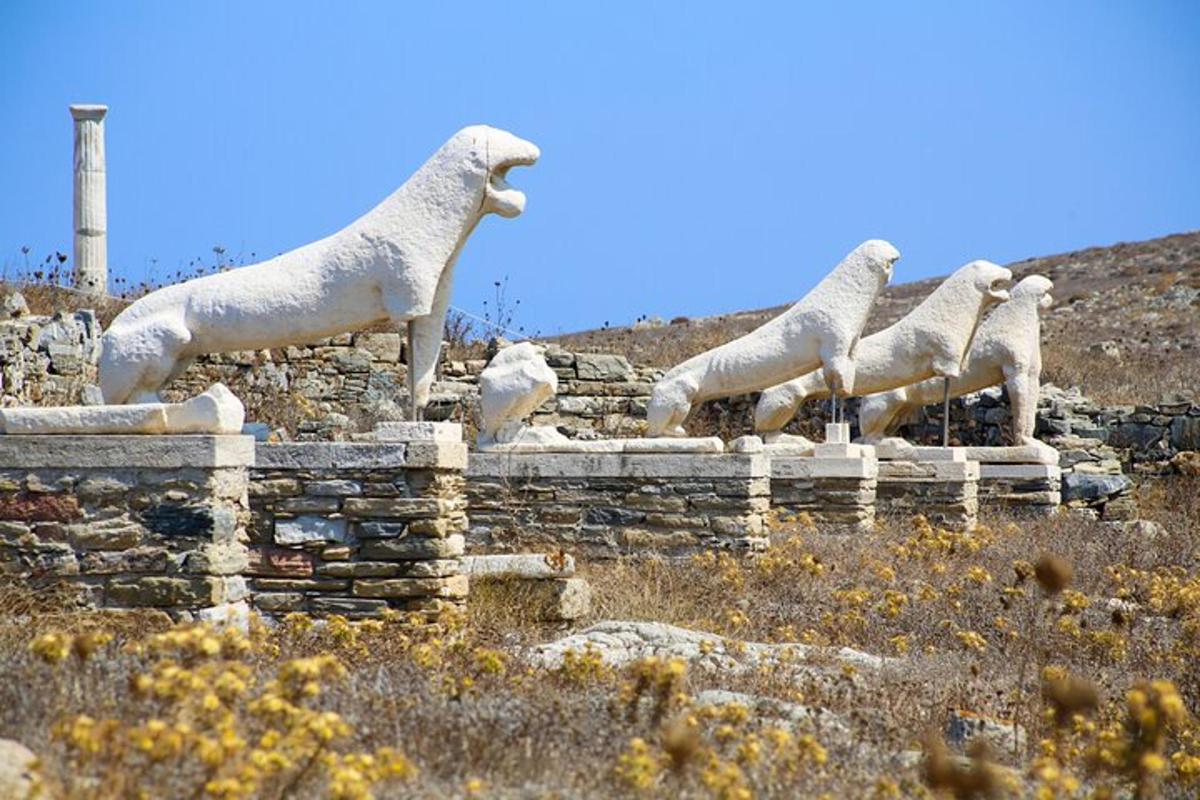 un grup d'ovelles dretes sobre un mur de pedra