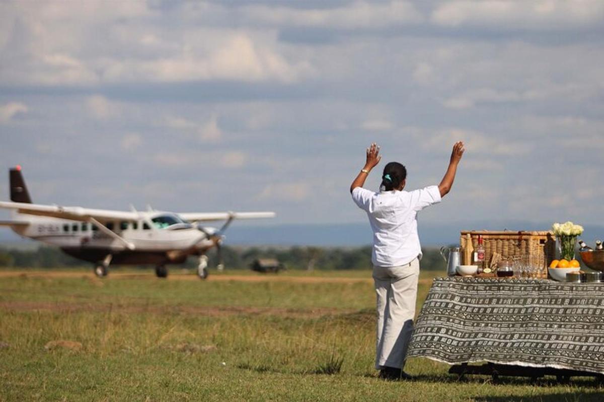 una donna in piedi in un campo che guarda un aeroplano