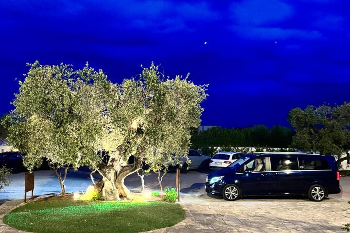um carro estacionado em um estacionamento próximo a uma árvore