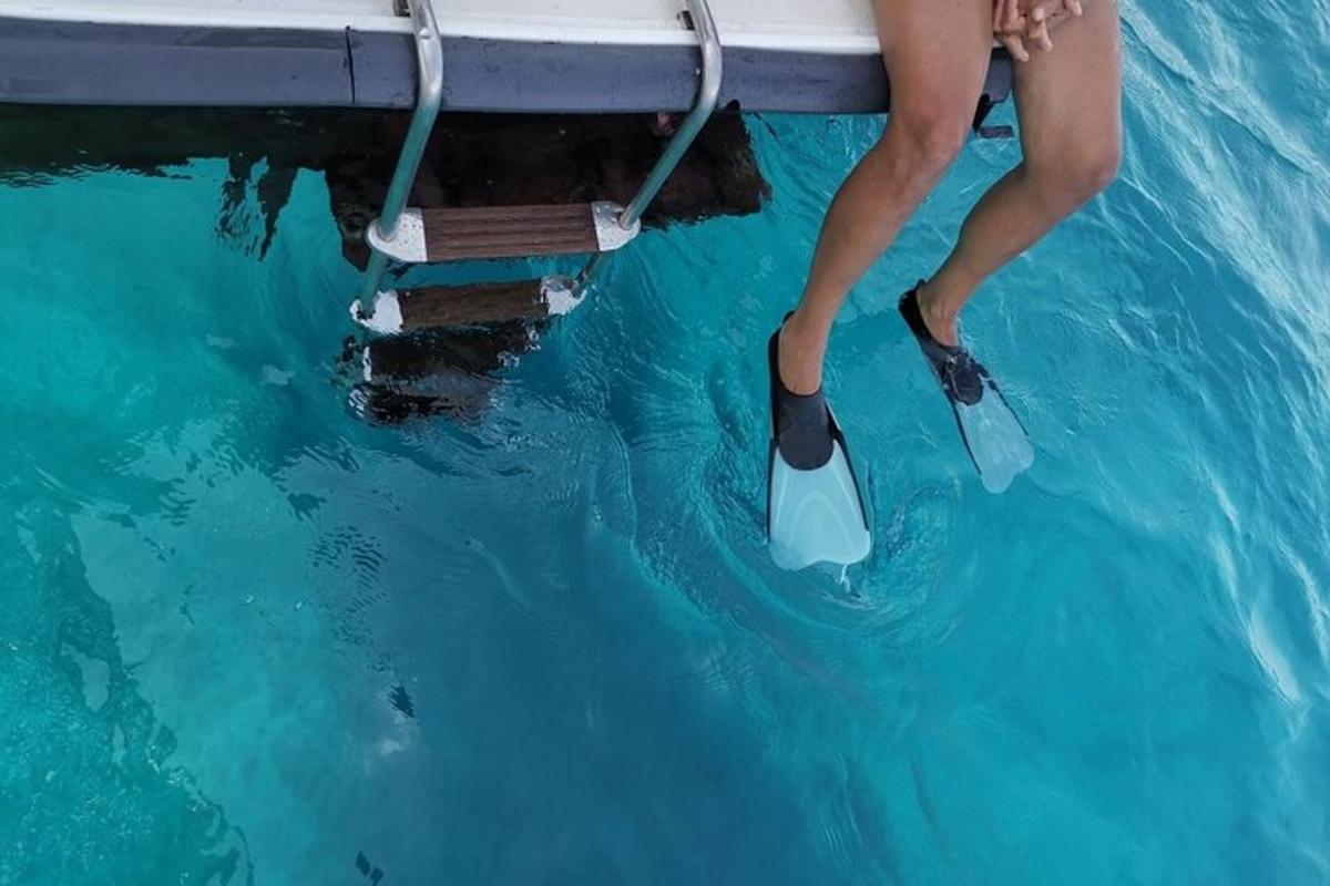 Foto dell’attrazione numero 4