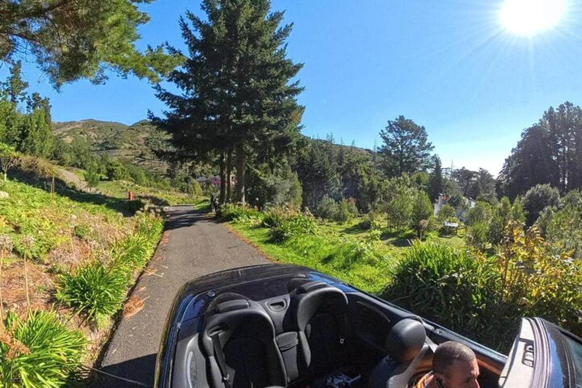 um grupo de pessoas em um carro dirigindo por uma estrada