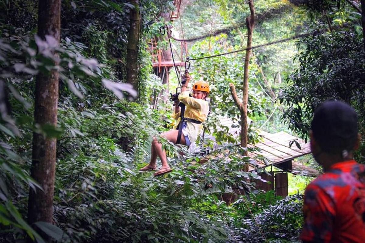 seseorang di garis zip di dalam hutan