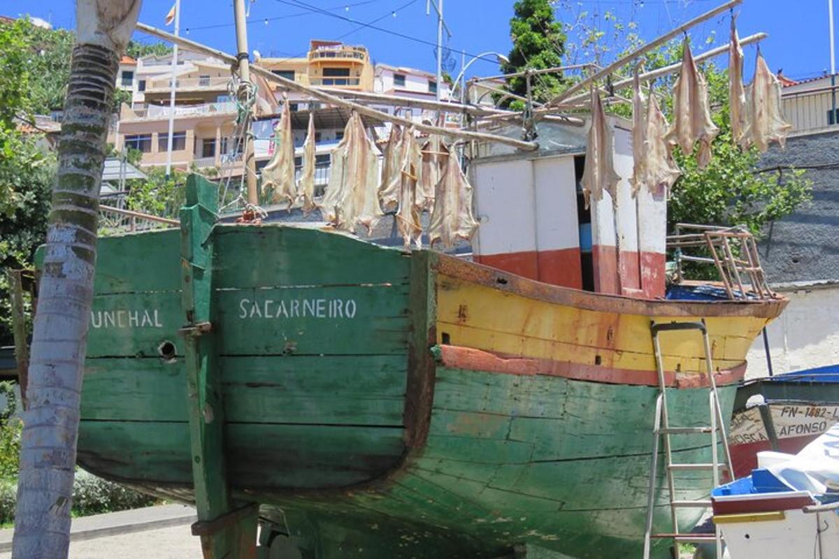 a boat that is sitting next to a tree