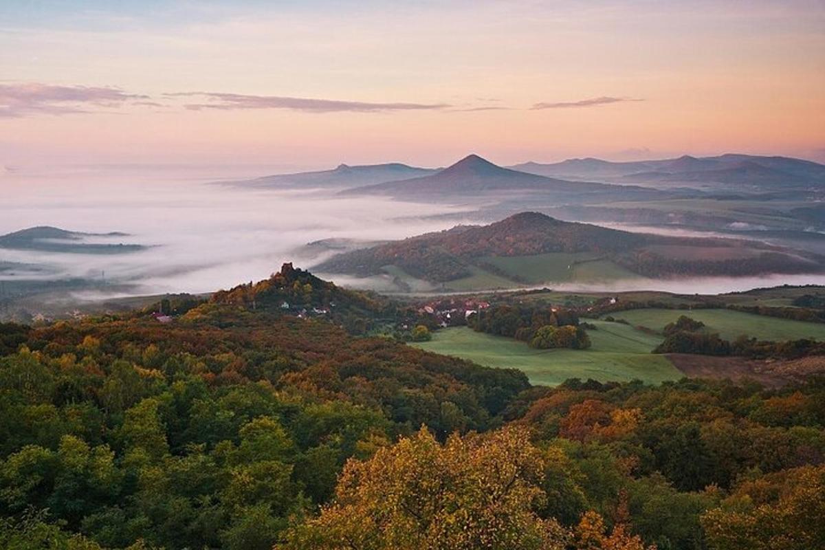 um vale enevoado com árvores e montanhas ao longe