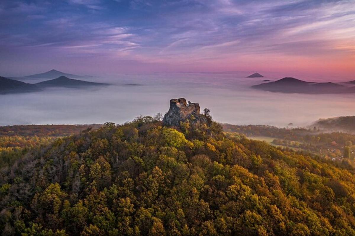 um castelo no topo de uma colina na floresta