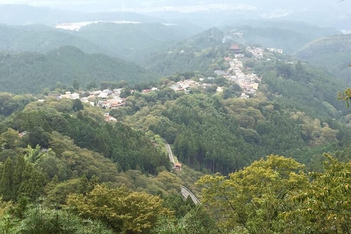 una vista di una città in mezzo a una foresta