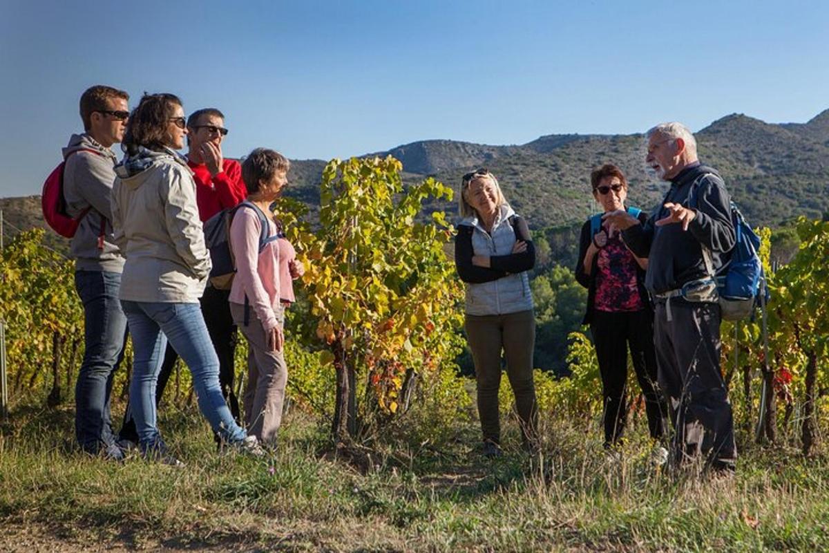 un grup de oameni care stăteau în fața unei podgorii