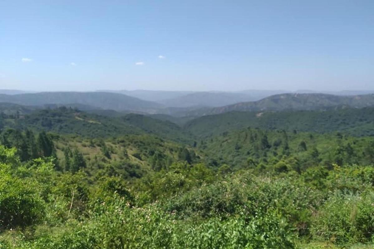 una vista di auliculiculiculiculiculiculiculiculiculiculiculiculiculic