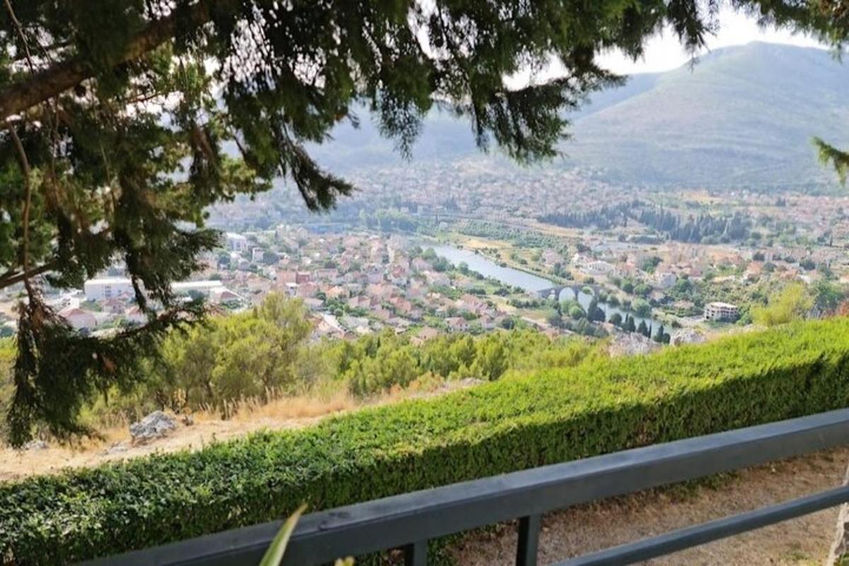 a view of a city from a tree