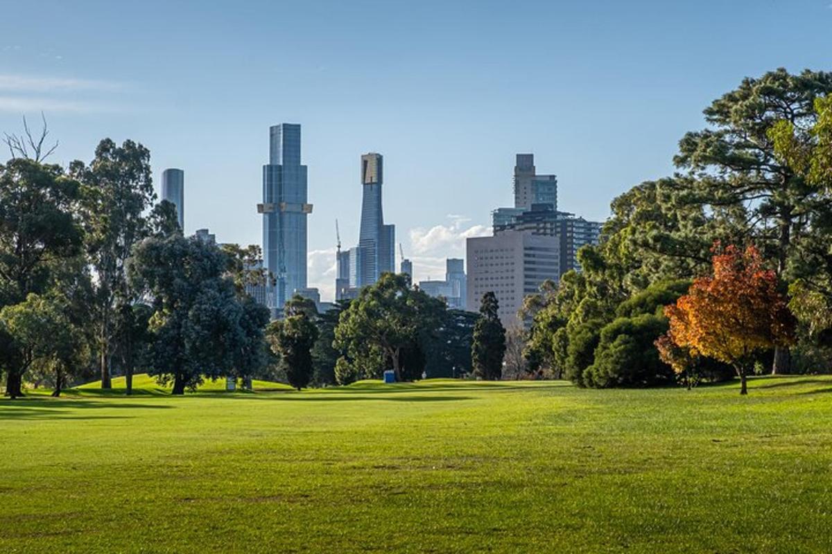 un parco con alberi e una città sullo sfondo