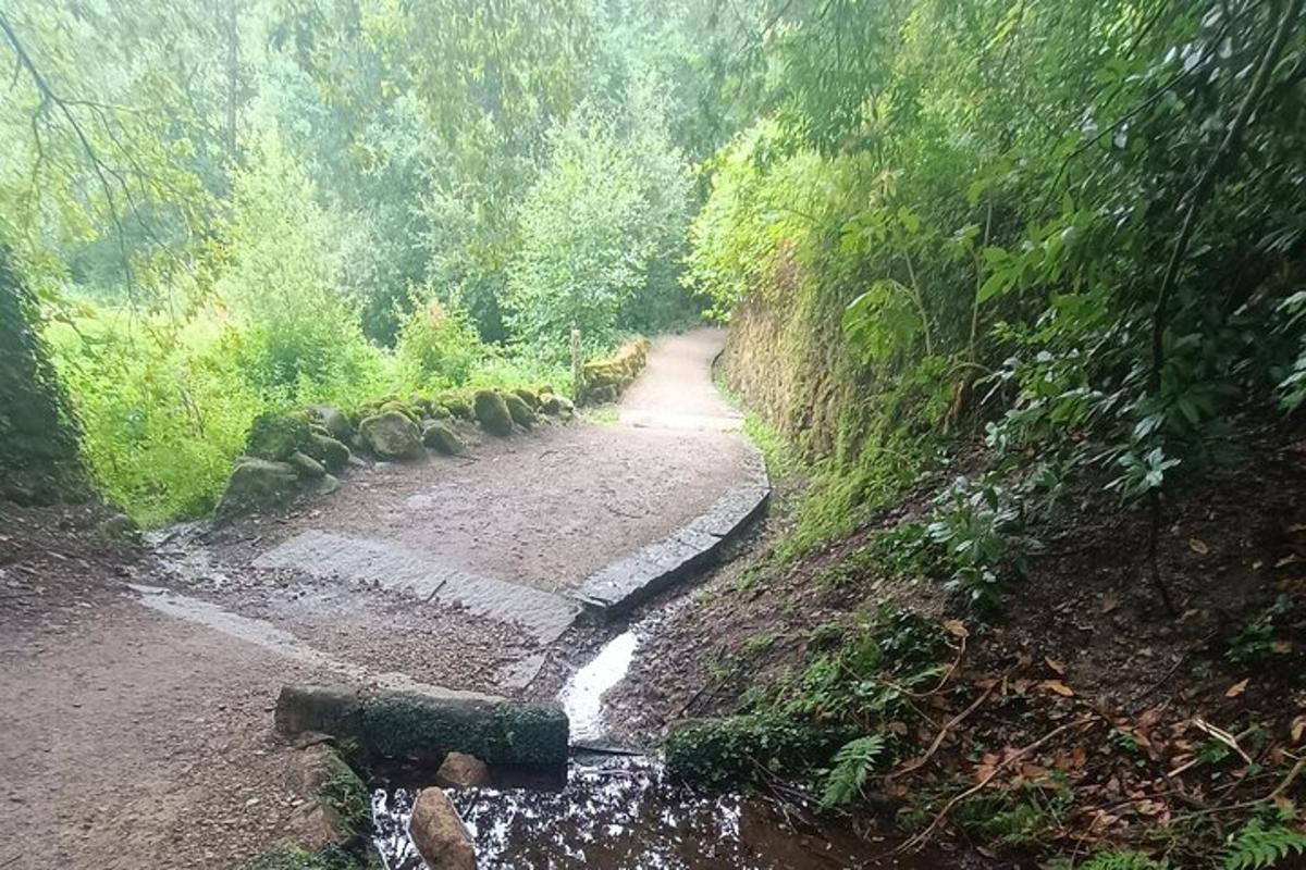 prašná cesta s proudem vody na straně