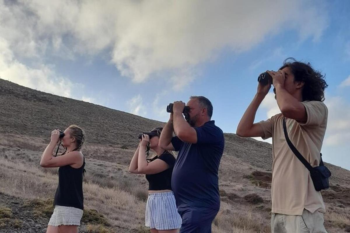 група људи који фотографишу својим фотоапаратима