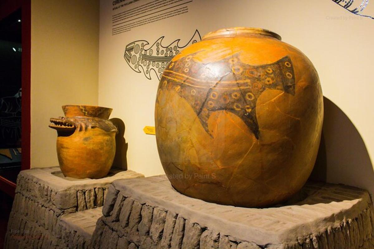 dois grandes vasos em exposição em um museu