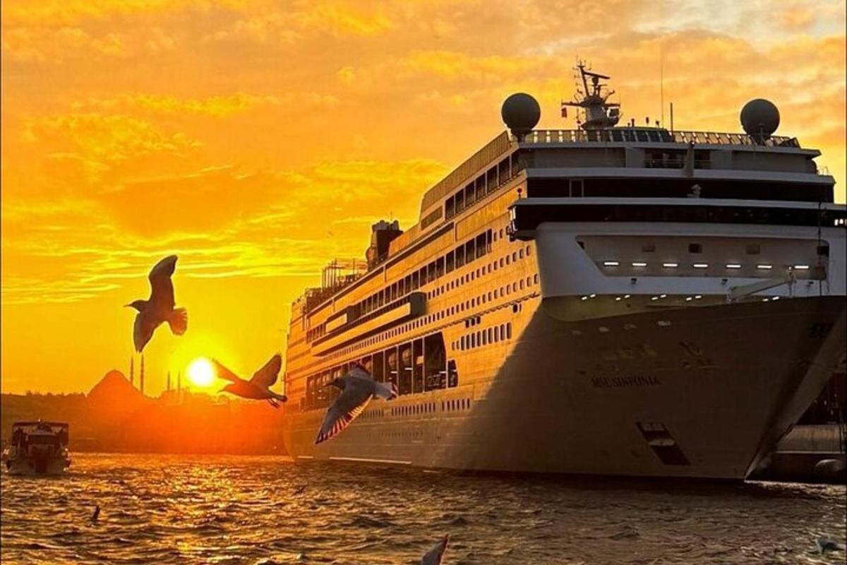 a cruise ship in the ocean at sunset