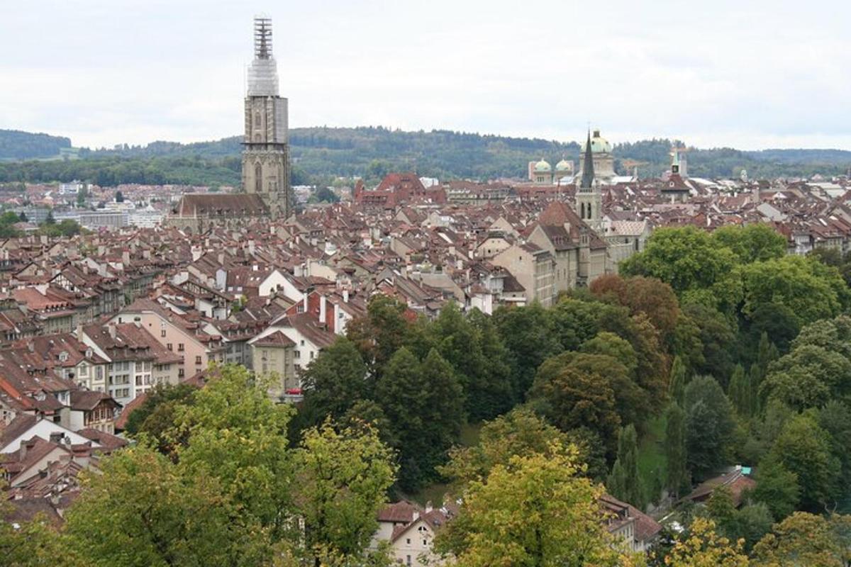 pohled na město s budovami a stromy
