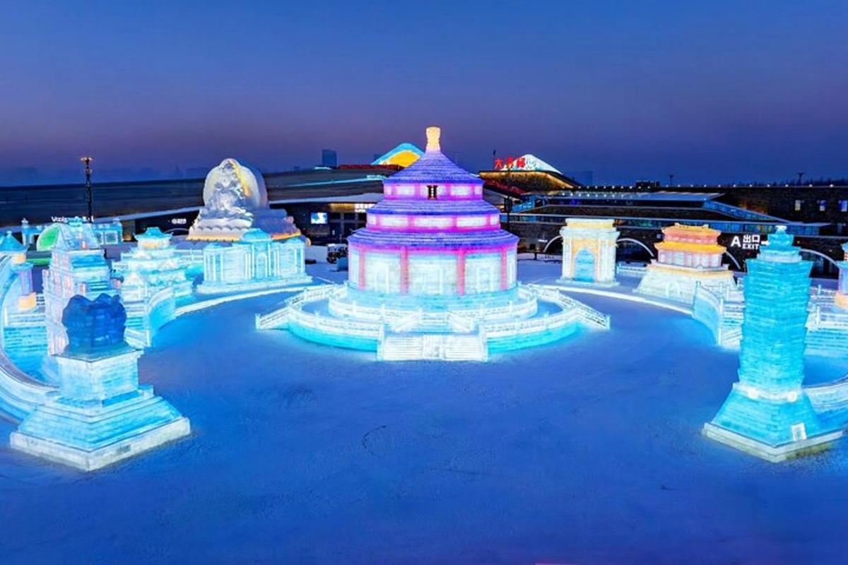 a group of ice sculptures in the snow