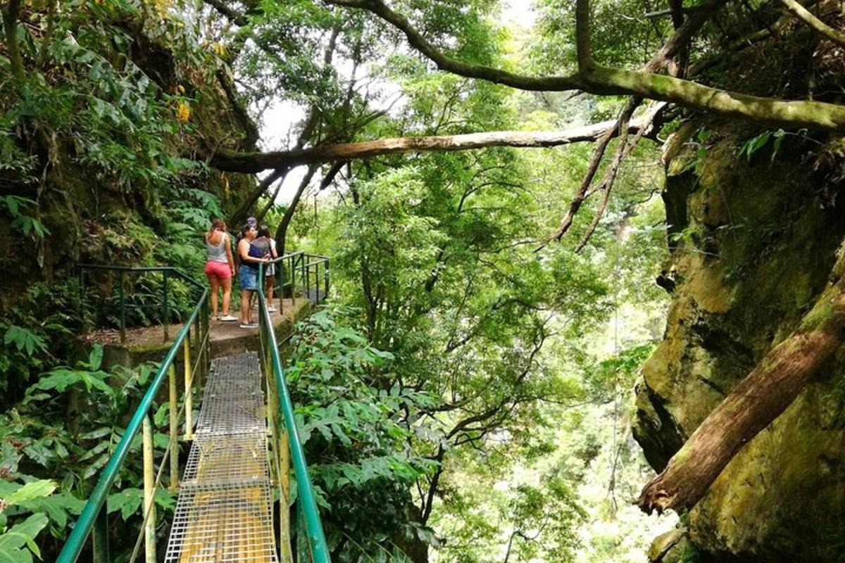 two people walking on a suspension bridge in the forest
