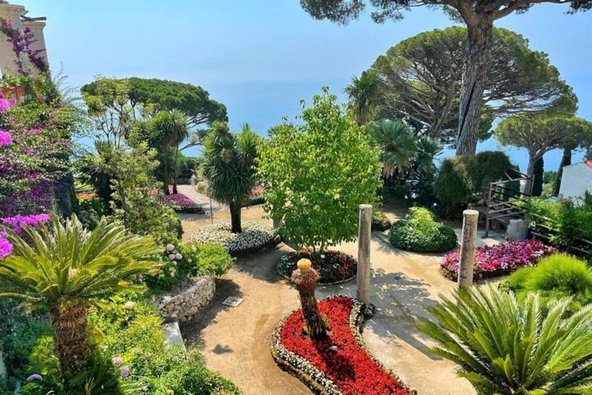 a garden with flowers and plants in a park