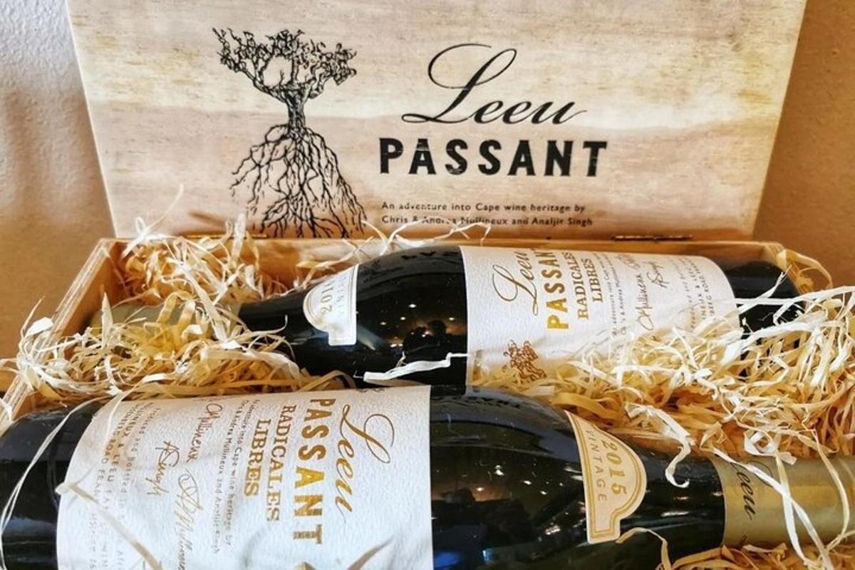 a bunch of bottles of wine in a box