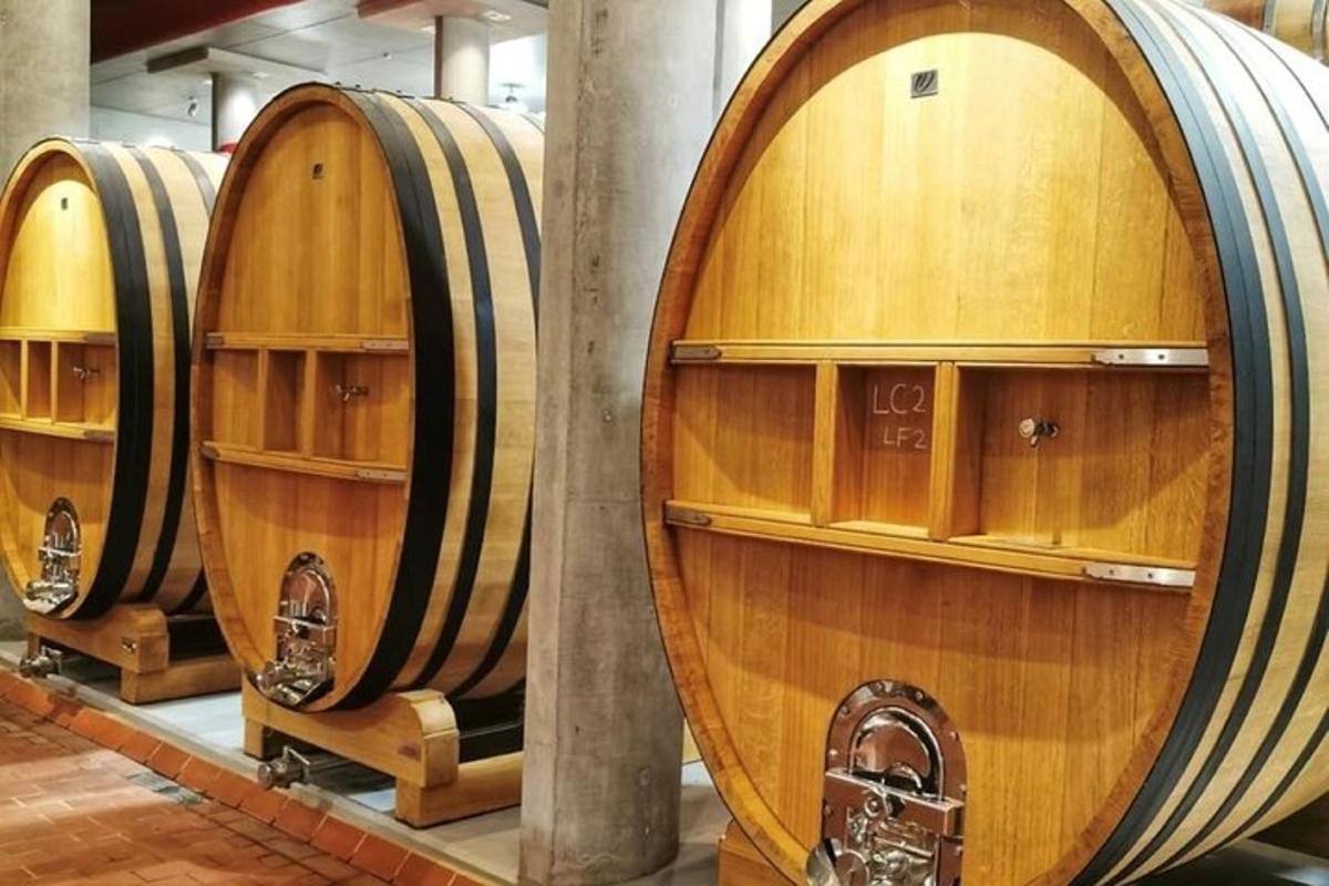 a row of wine barrels in a cellar