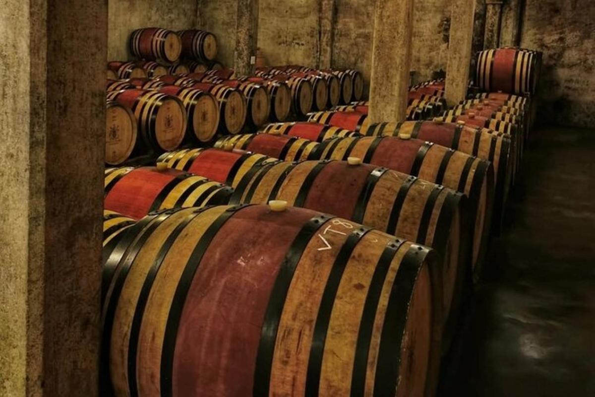 a row of wine barrels in a cellar