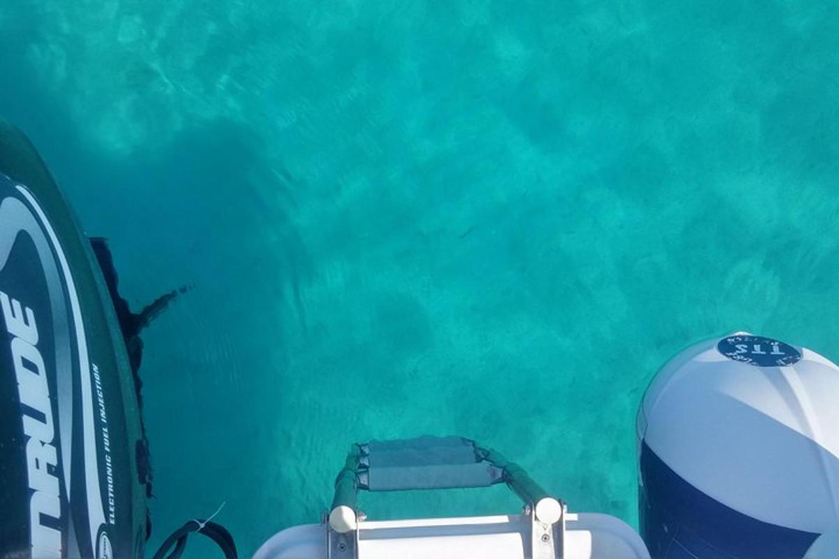 una stanza con una valigia e uno squalo nell'acqua
