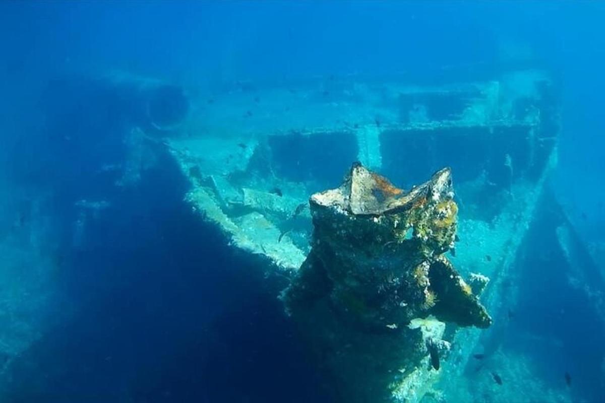 pemandangan bawah laut terumbu karang di dalam air