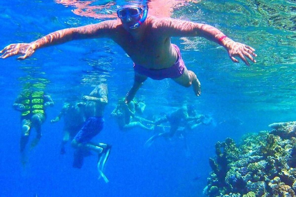 seorang pria berenang di air bersama sekelompok orang