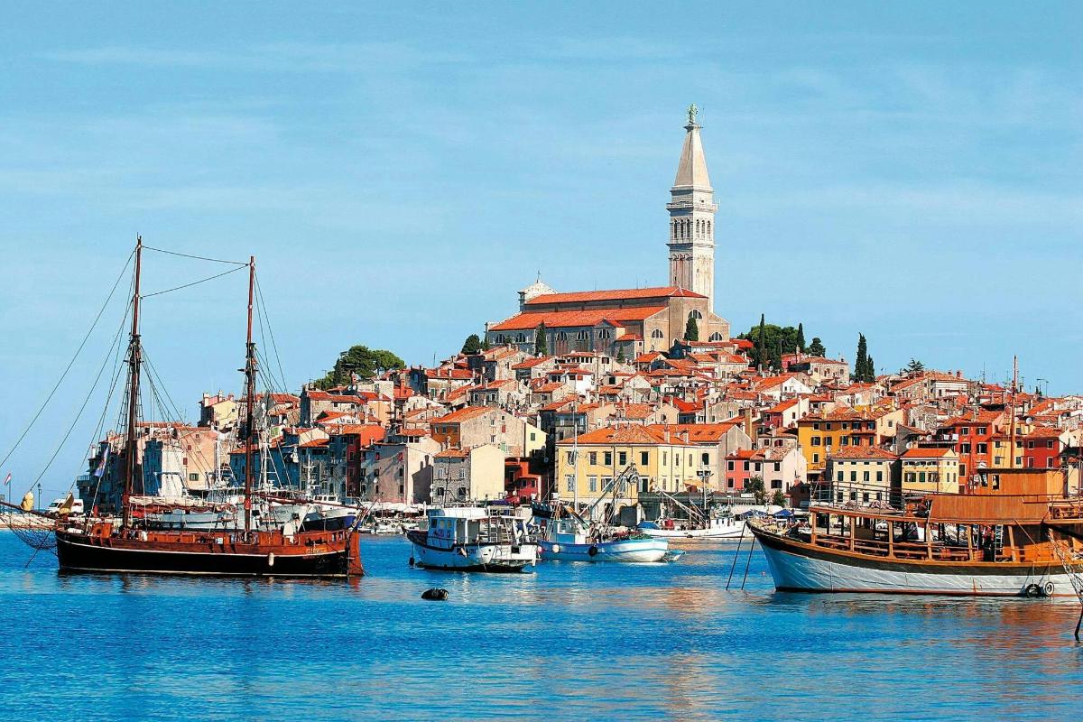 a group of boats in a harbor with a city