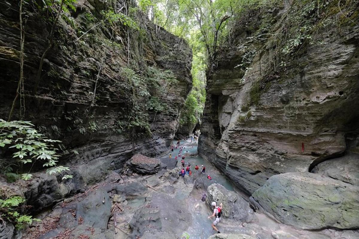 un gruppo di persone in piedi in un fiume in un canyon