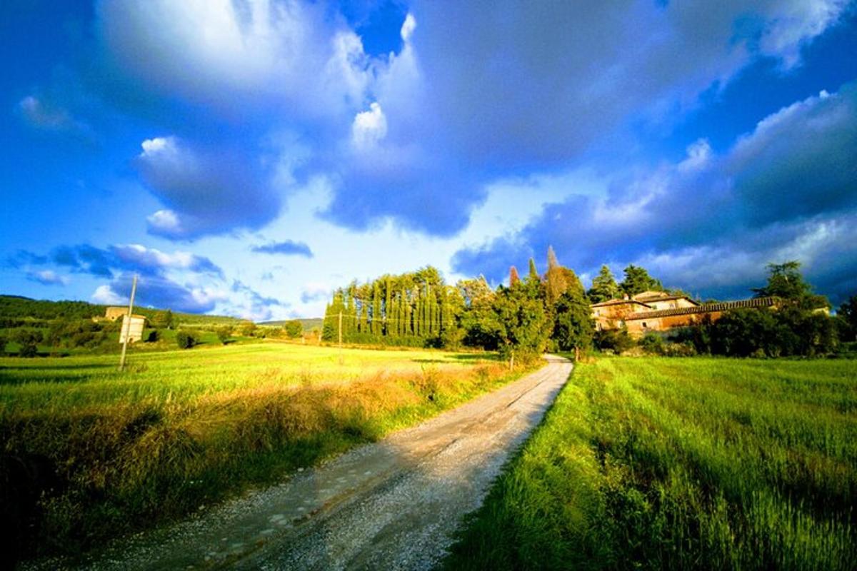 a dirt road in the middle of a field