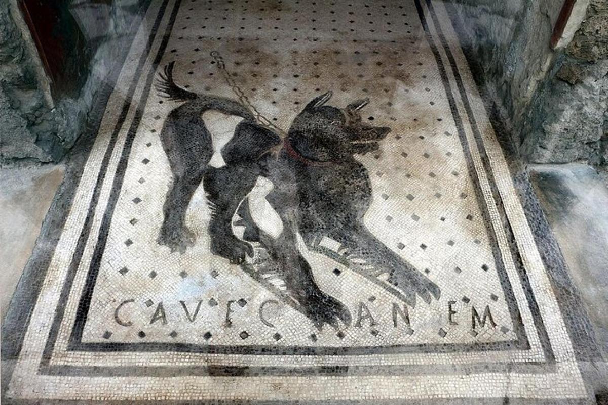 uma pintura de um cachorro e um gato no chão
