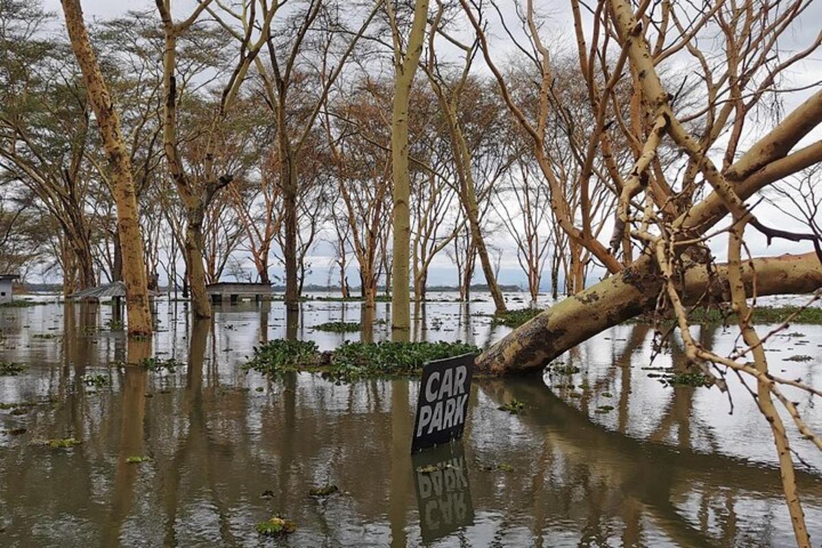 un cartello in mezzo a una foresta allagata
