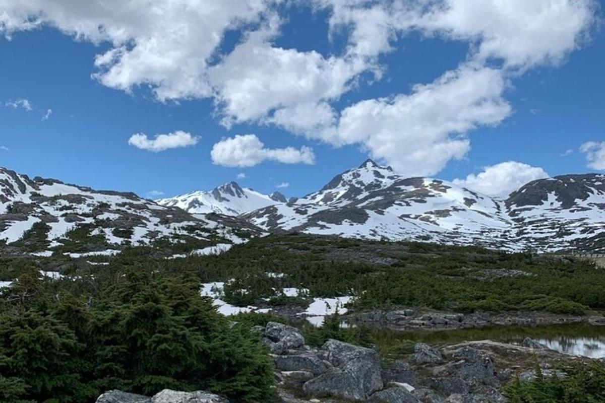 a snow covered mountain range with trees and rocks