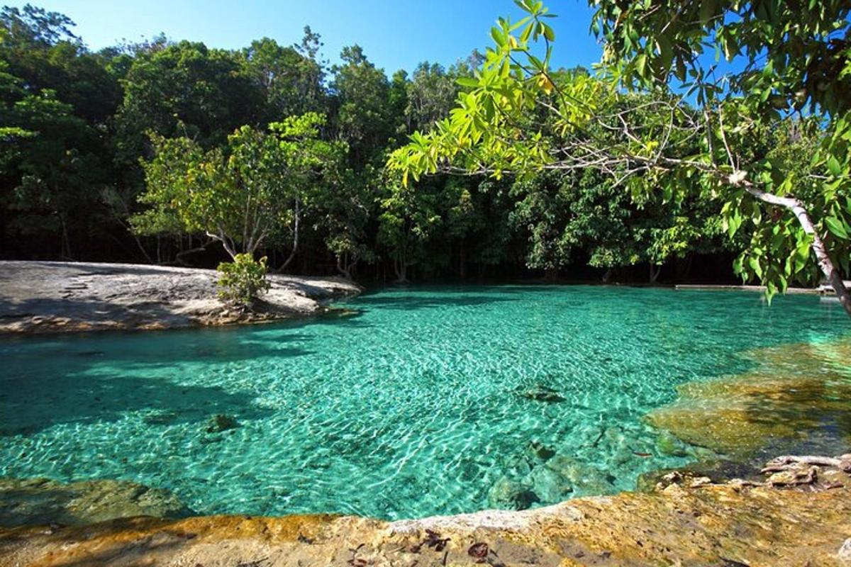 a river with blue water and trees in the background