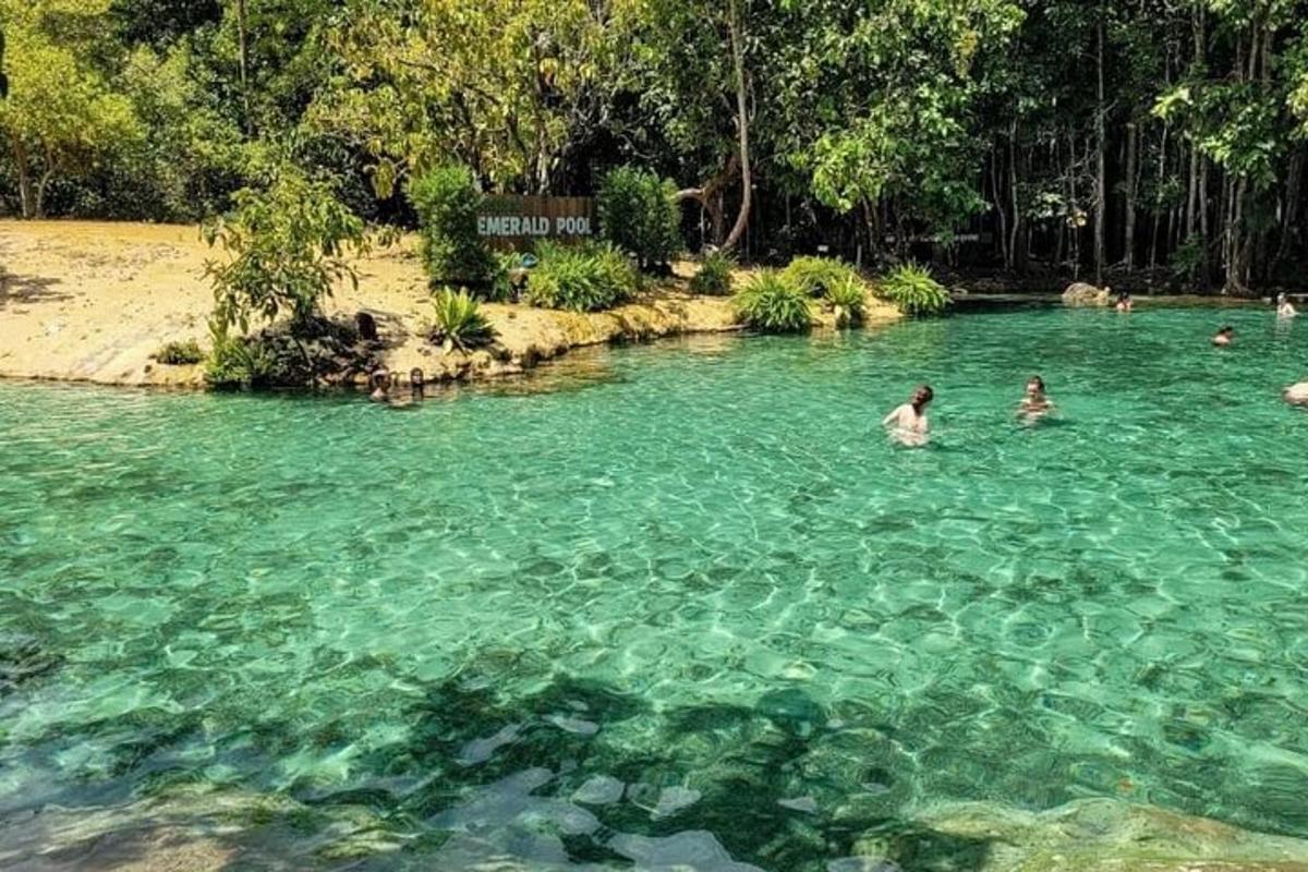 a group of people swimming in a body of water