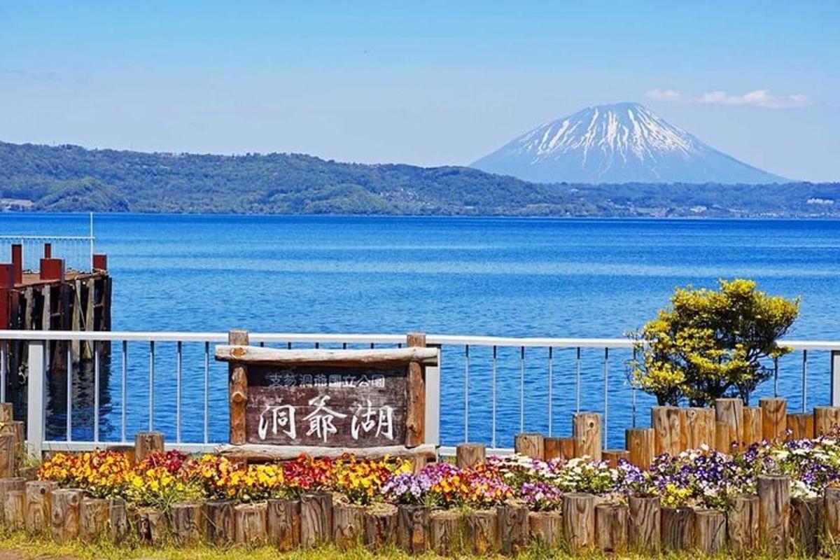 a garden of flowers in front of a mountain