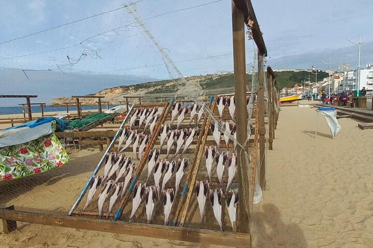 Un grupo de pájaros en una jaula en una playa.