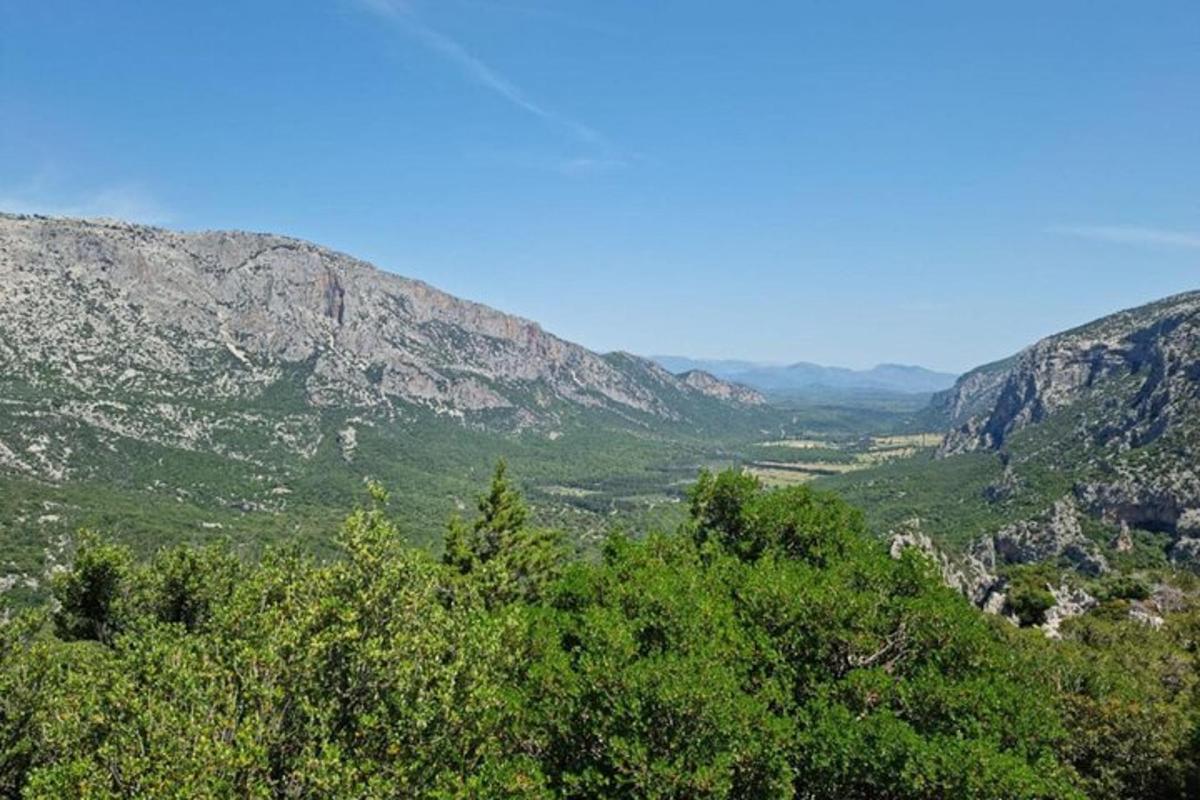 una vista di una valle con alberi e montagne