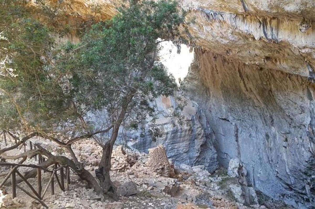 un albero di fronte a una scogliera rocciosa