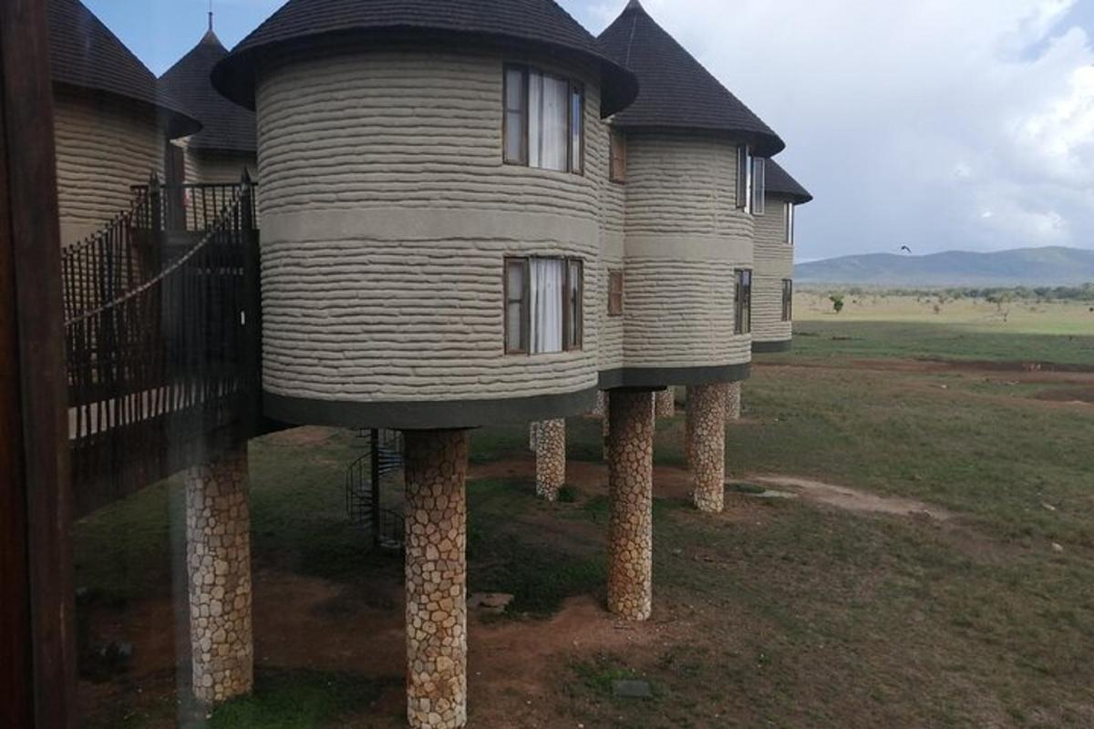 dům na pařezech uprostřed pole