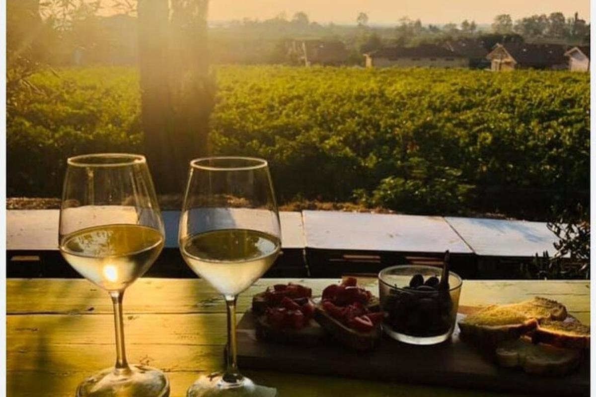 dois copos de vinho branco e um prato de comida