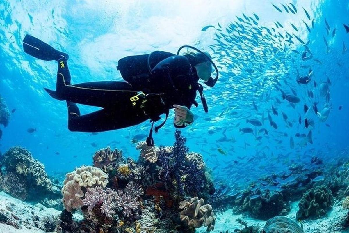 особа плива преко коралног гребена